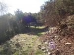 DSC01775.JPG