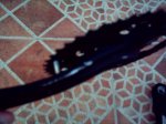 IMAG0021.JPG