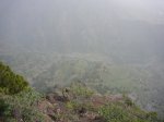 P0000547_resize.JPG