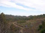 P0000574_resize.JPG