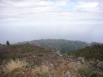 P0000598_resize.JPG