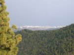 P0000674_resize.JPG