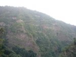 P0000708_resize.JPG