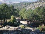 Moralzarzal (270108) 006.jpg