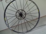 rueda1.jpg