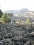 ene08137Large.jpg