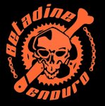 enduro.jpg
