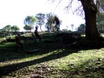 fotos locos 310.jpg