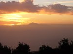 P0000724_resize.JPG