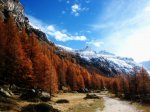 Gran_Paradiso_redux.jpg