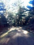 29012008243tn_.jpg