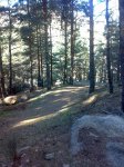 29012008244tn_.jpg