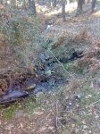 29012008251tn_.jpg