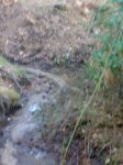 29012008252tn_.jpg