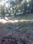 29012008253tn_.jpg