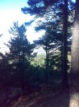 29012008255tn_.jpg