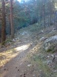 29012008256tn_.jpg