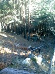 29012008258tn_.jpg