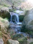 29012008259tn_.jpg
