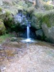 29012008260tn_.jpg