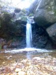 29012008261tn_.jpg