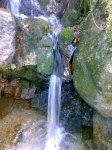 29012008262tn_.jpg