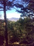 29012008265tn_.jpg