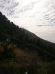 P0000090_resize.JPG