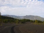 P0000117_resize.JPG