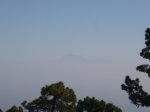 P0000264_resize.JPG