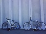 DSC00804.jpg