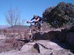 DSC08985b.jpg