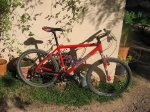 cannondale 005.jpg