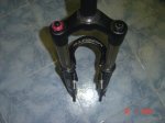 DSC07428.JPG
