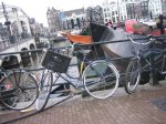 IMG_3137.jpg