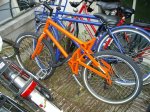 IMGP0448.jpg