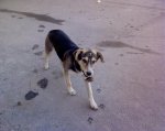 DSC00241.jpg