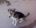 DSC00251.jpg