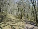 DSC05186.JPG