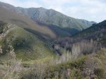 DSC05195.JPG