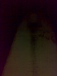 31012008280tn_.jpg