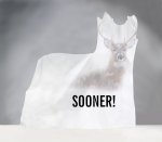 promo3.jpg