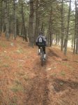 Fotos 104.JPG