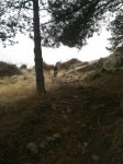 Fotos 102.JPG