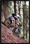 1bikebrake.JPG