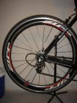 DSC02470.jpg