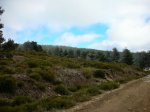 DSCN3636.JPG