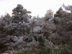 DSCN3637.JPG