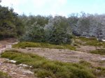 DSCN3638.JPG