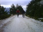 DSC00117.jpg